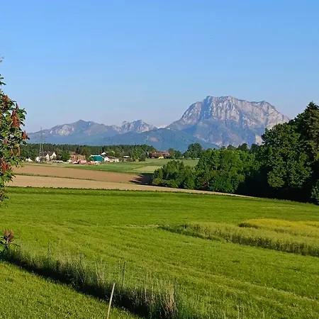 Single Tiny House Salzkammergut * Regau