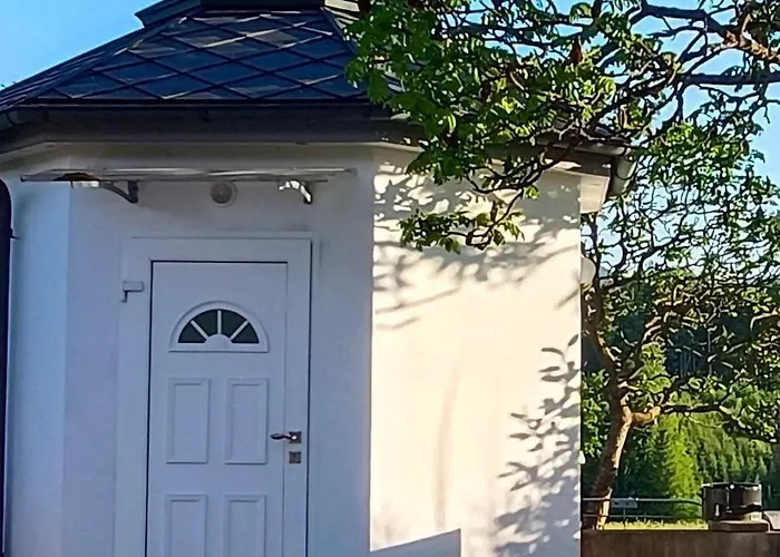 Single Tiny House Salzkammergut Chalet