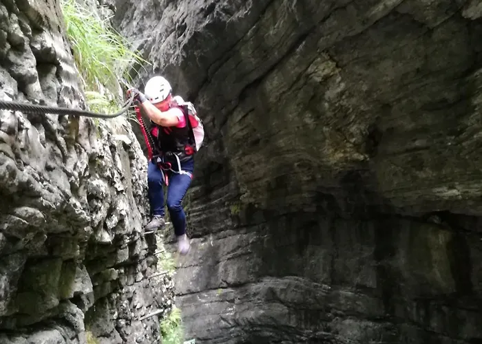 Single Tiny House Salzkammergut Chalet